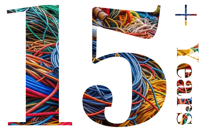 Professional Level 2 Electrical Excellence